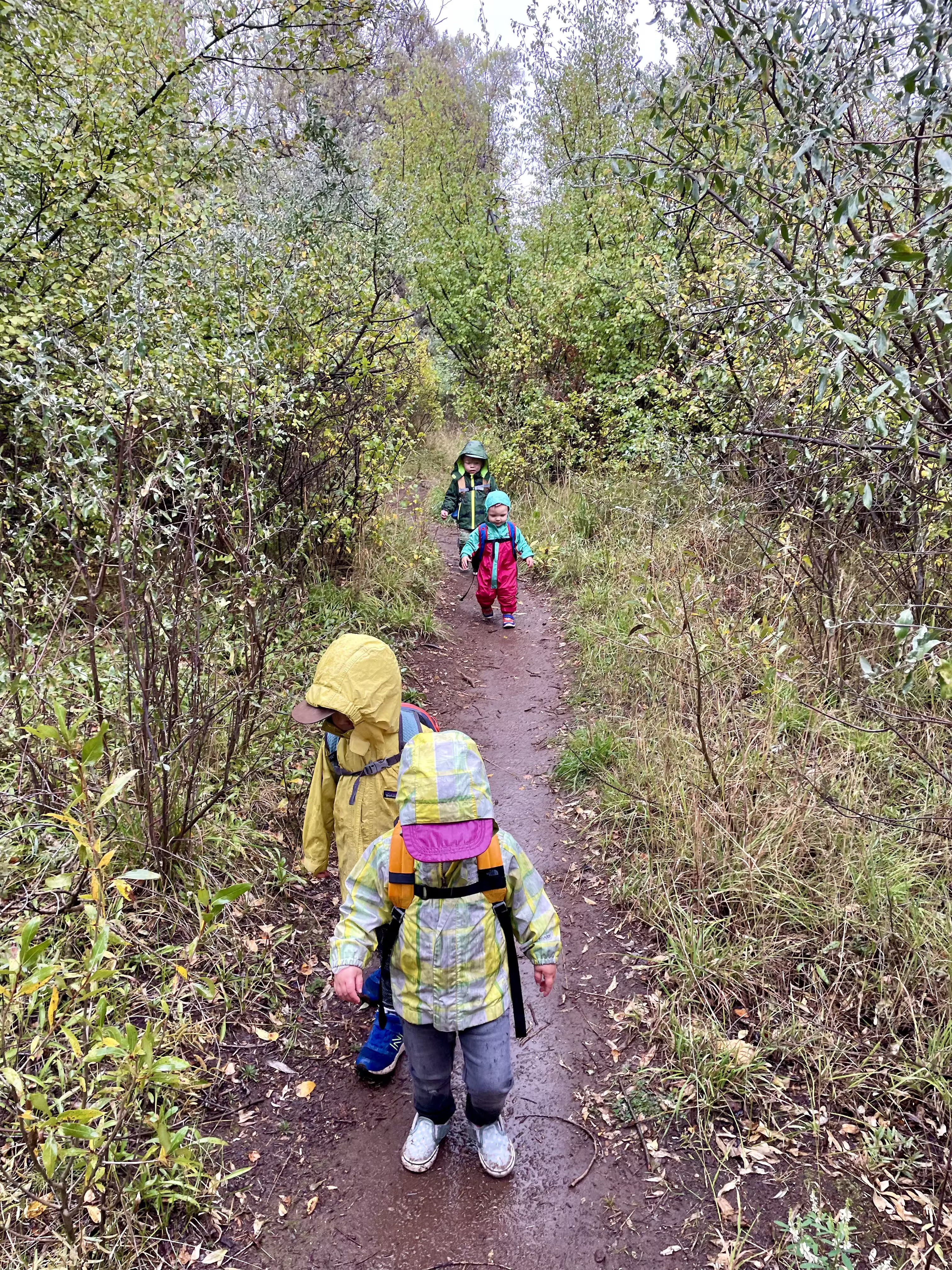 Children walking down a trail